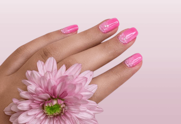 Close-up-of-pink-French-tip-nails-with-delicate-white-floral-design-holding-a-pink-chrysanthemum-flower.png